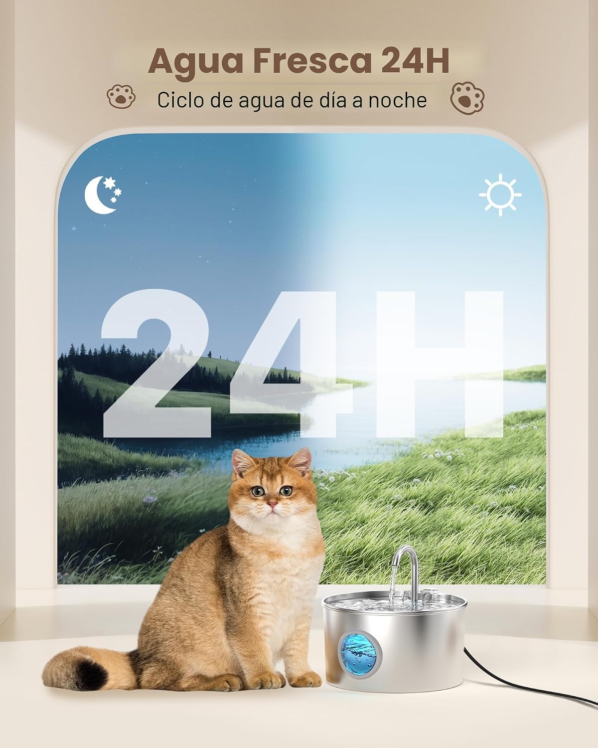 Fuente de agua para gatos de acero inoxidable: fuente para gatos de...