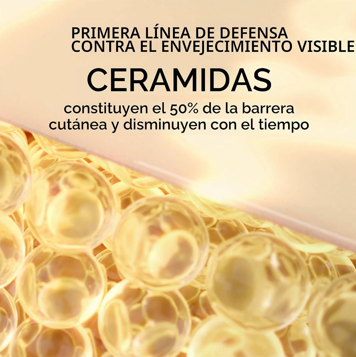 Elizabeth Arden Suero restaurador diario de la juventud de las cáps...