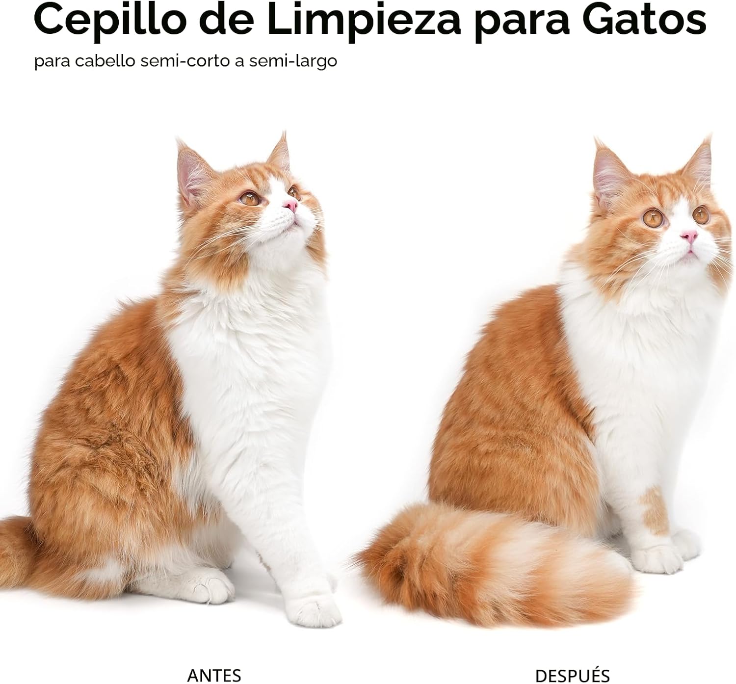 Aumuca - Cepillo para gatos de pelo largo o corto de interior, para...