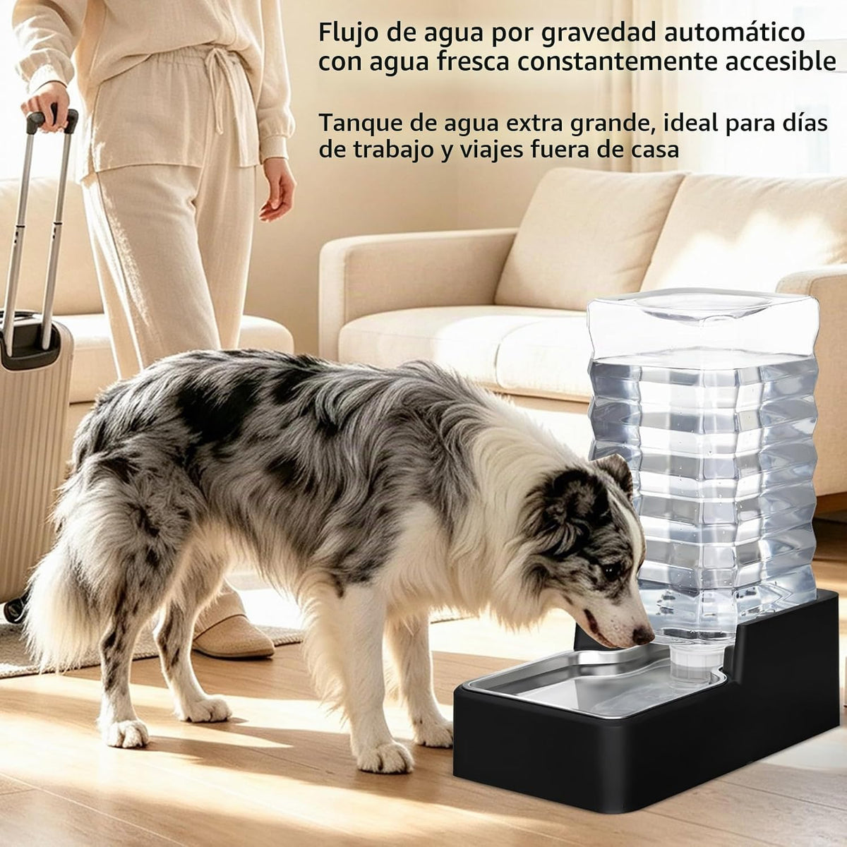 RIZZARI Comedero automático para mascotas de acero inoxidable: disp...