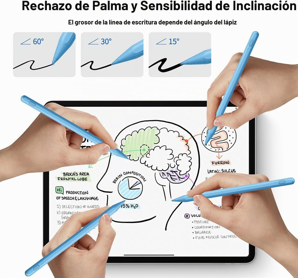 Lápiz capacitivo para iPad Pencil 11ª y 10ª, lápiz con rechazo de p...