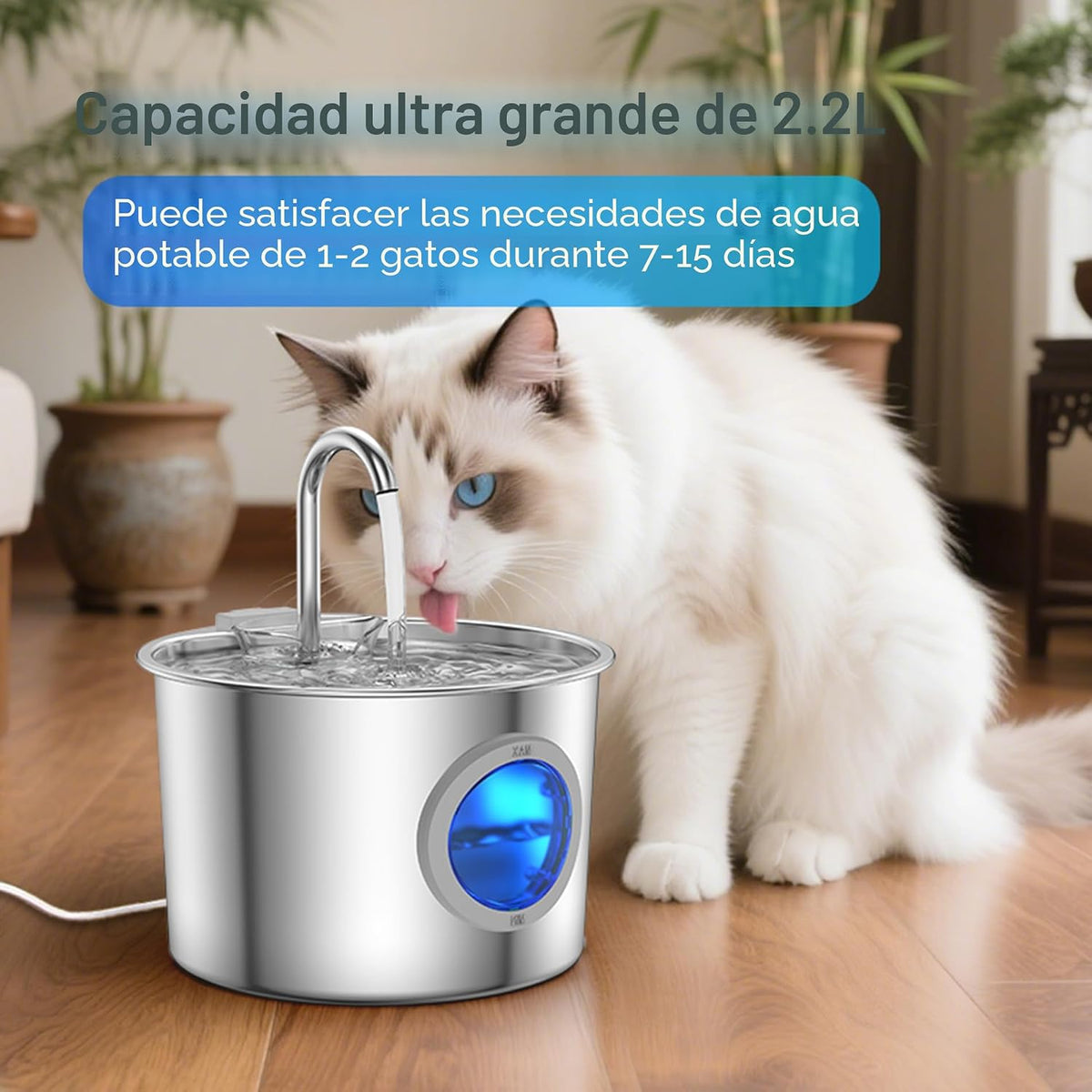 Fuente de agua para gatos de acero inoxidable 304 avanzado 2.2L\/74...
