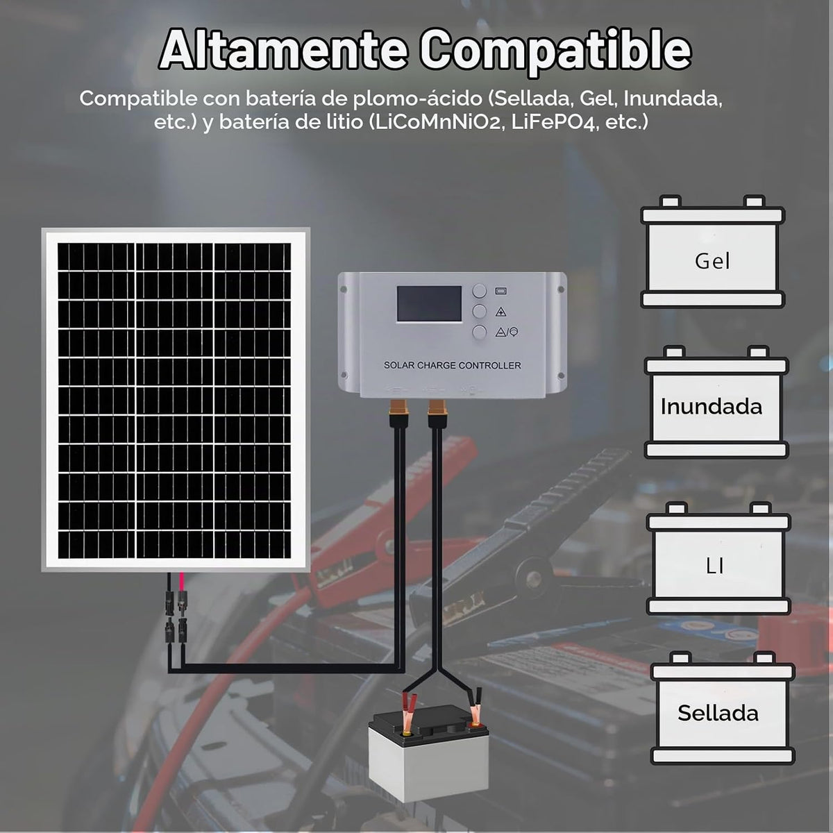 WUZECK - Kit de panel solar de 20 W y 12 V para mantenedor de bater...