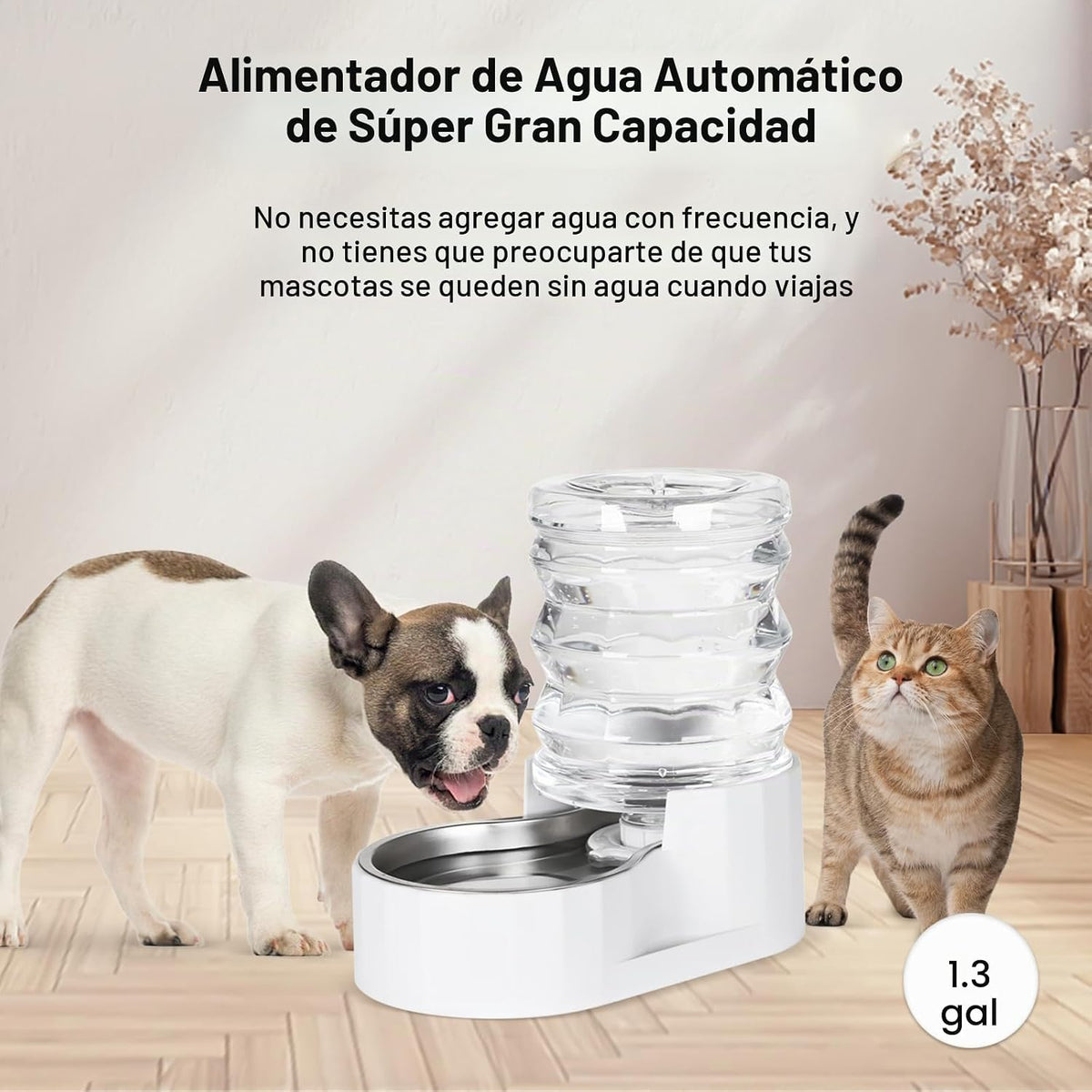 RIZZARI Dispensador de agua para gatos por gravedad de 5L: filtrado...