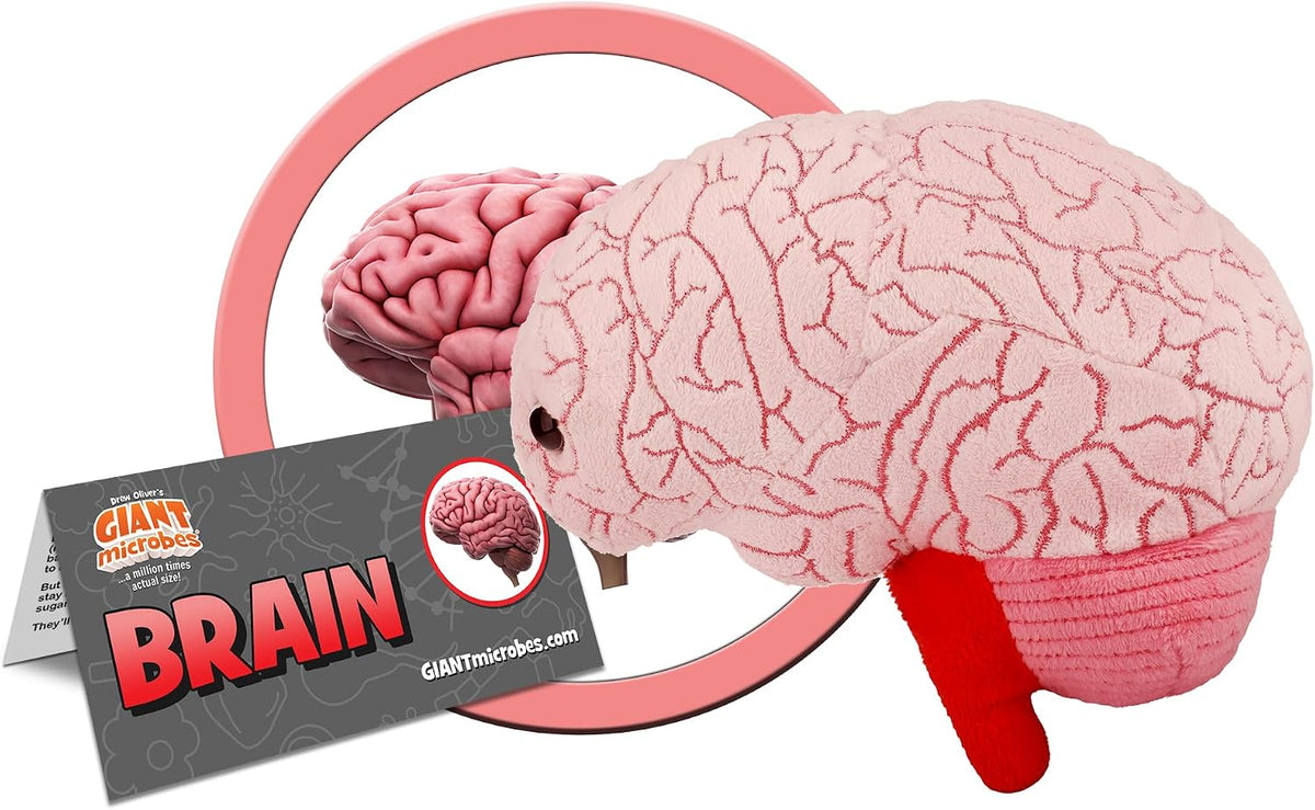 GIANT MICROBES Brain Plush, cerebro anatómico con detalles bordados...