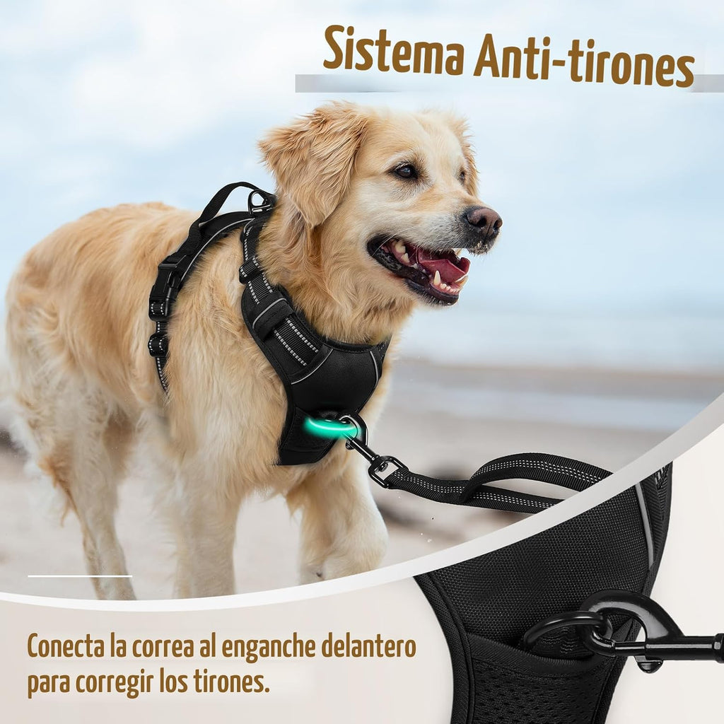 Arnés para perro rabbitgoo sin tirón con 2 clips de correa, acolcha...