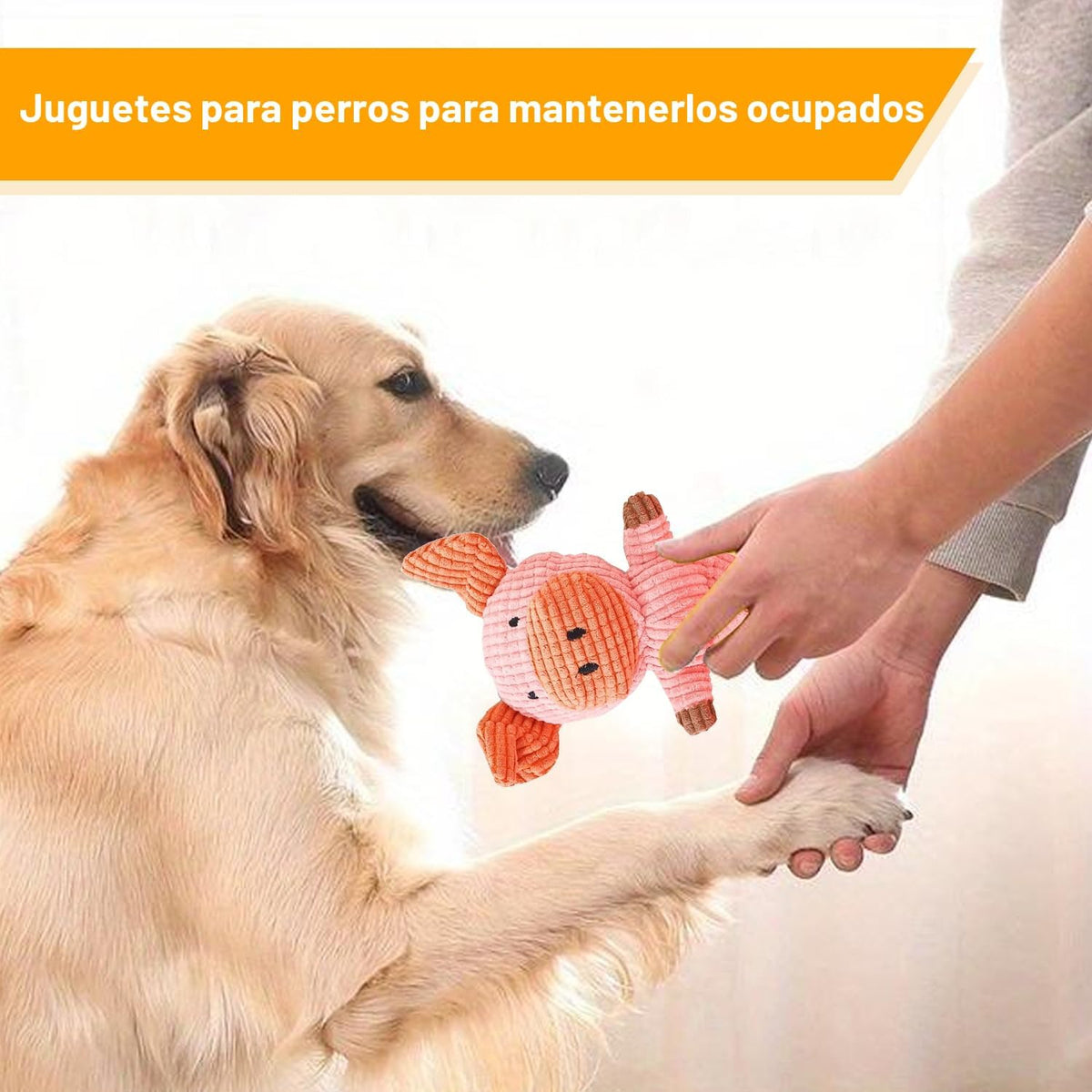 MRSOHRET Paquete de 5 juguetes chirriantes para perros, juguetes de...