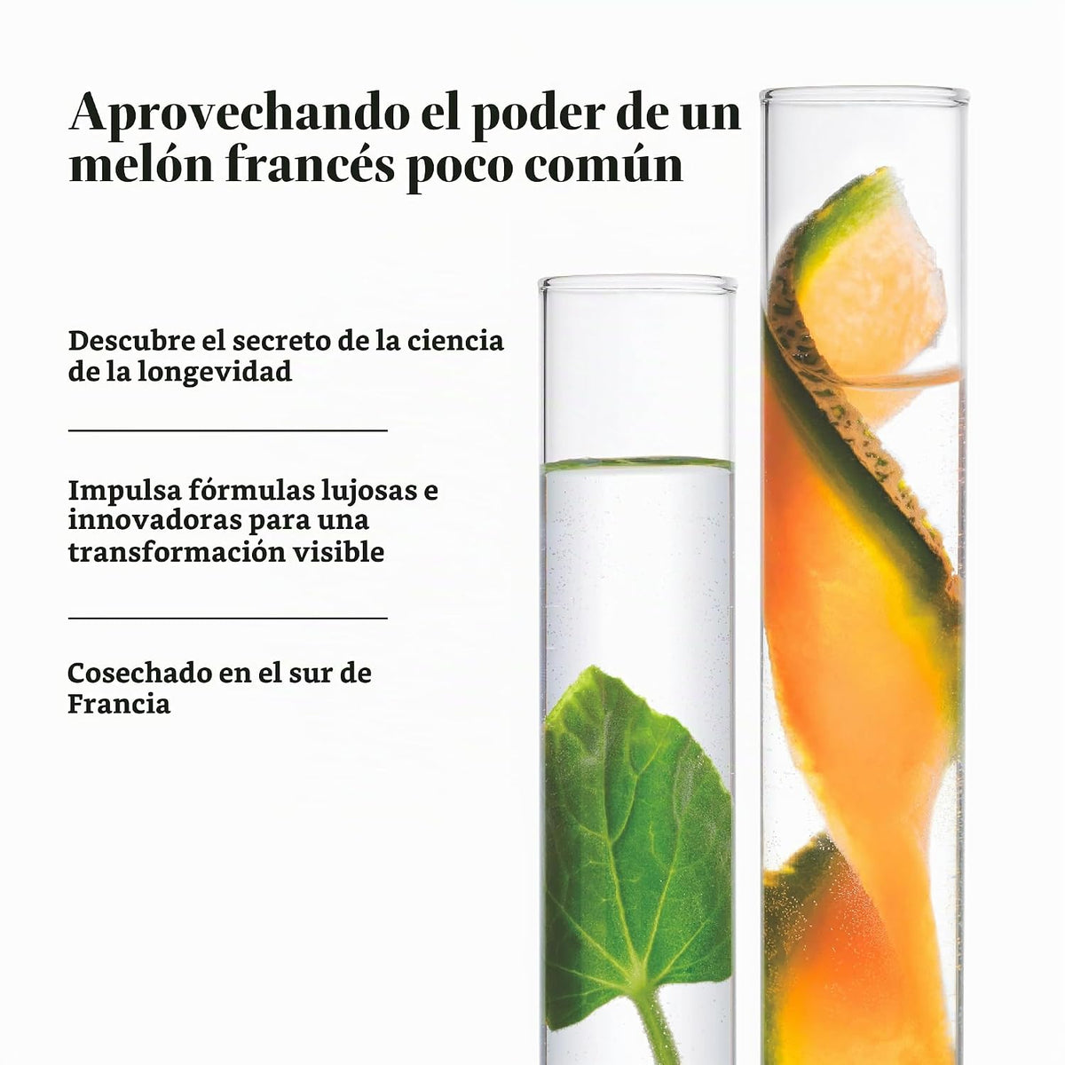 Meaningful Beauty Crème de Serum, Hidratante de noche con extracto...