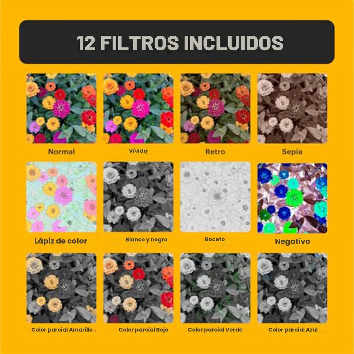 Kodak PIXPRO C1 Cámara Digital Compacta (Marrón Claro) Paquete con...