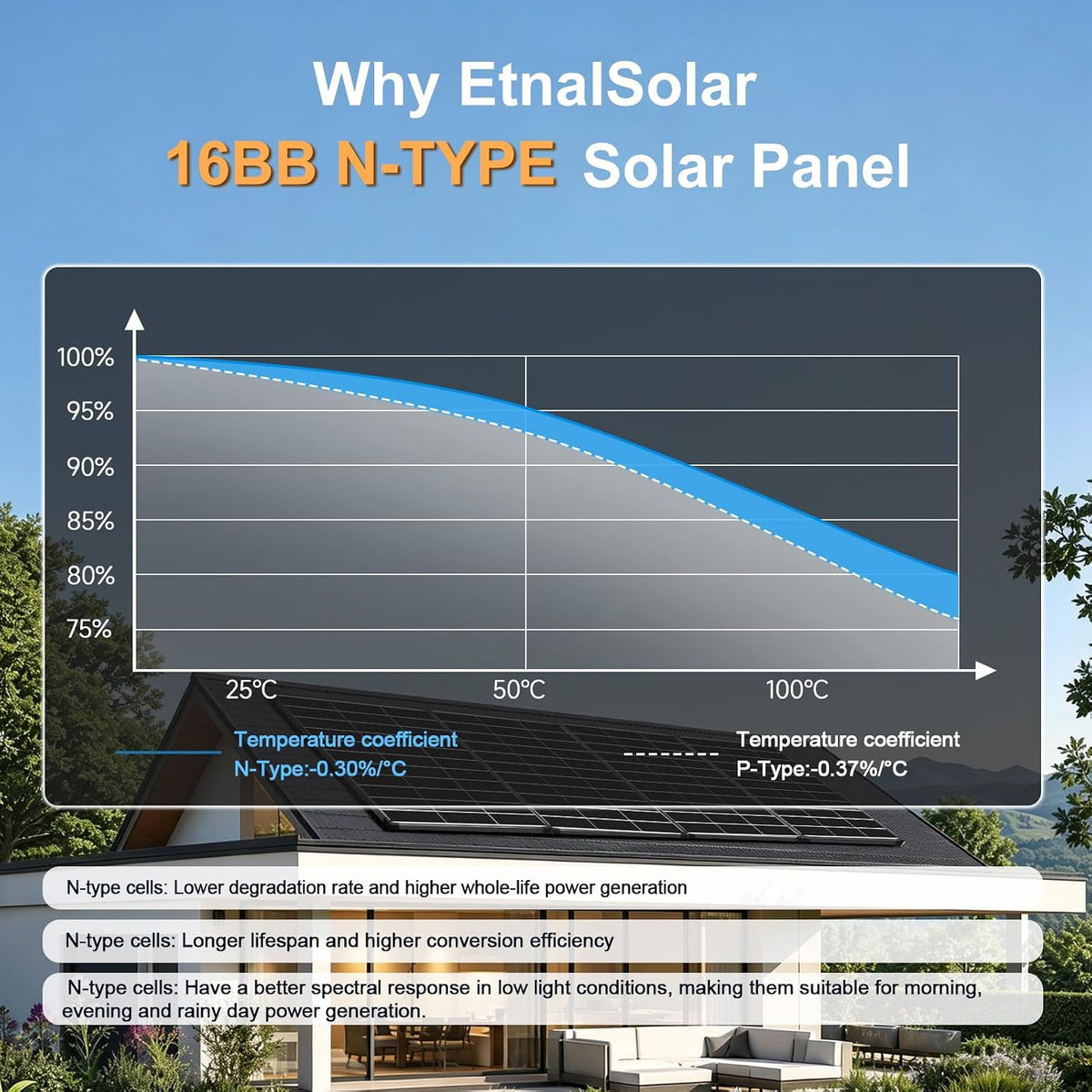 EtnalSolar 16BB biacial 100W panel solar tipo N 12V, 25.6% de alta...