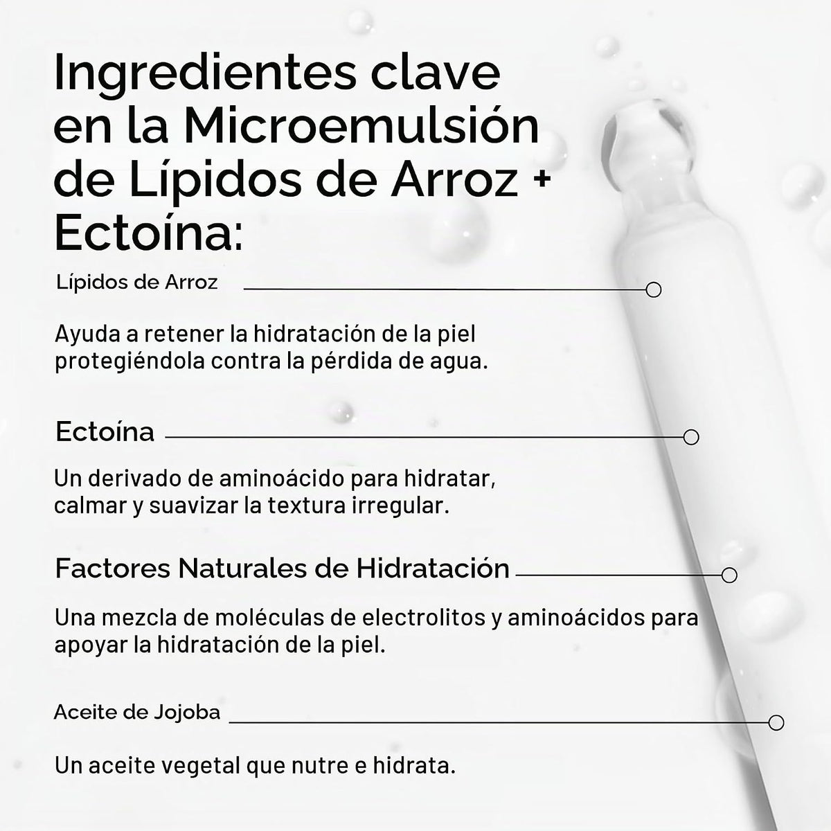 The Ordinary Lípidos de arroz + crema hidratante de microemulsión d...