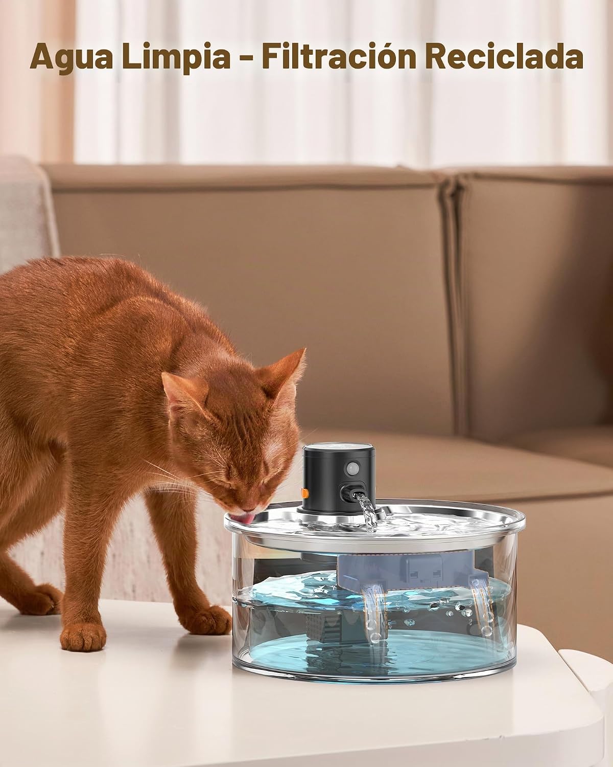 VKIMISS Filtros de fuente de agua para gatos: Reemplazo de filtro d...