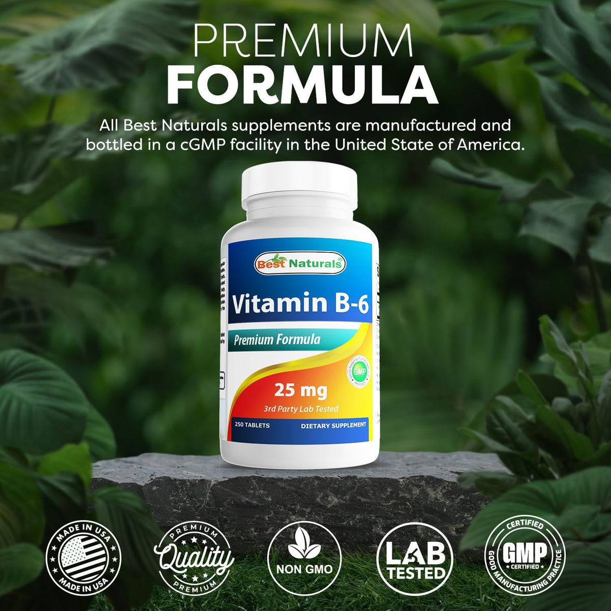 Best Naturals Vitamina B-6 Tabletas de 25 Mg, 250 unidades