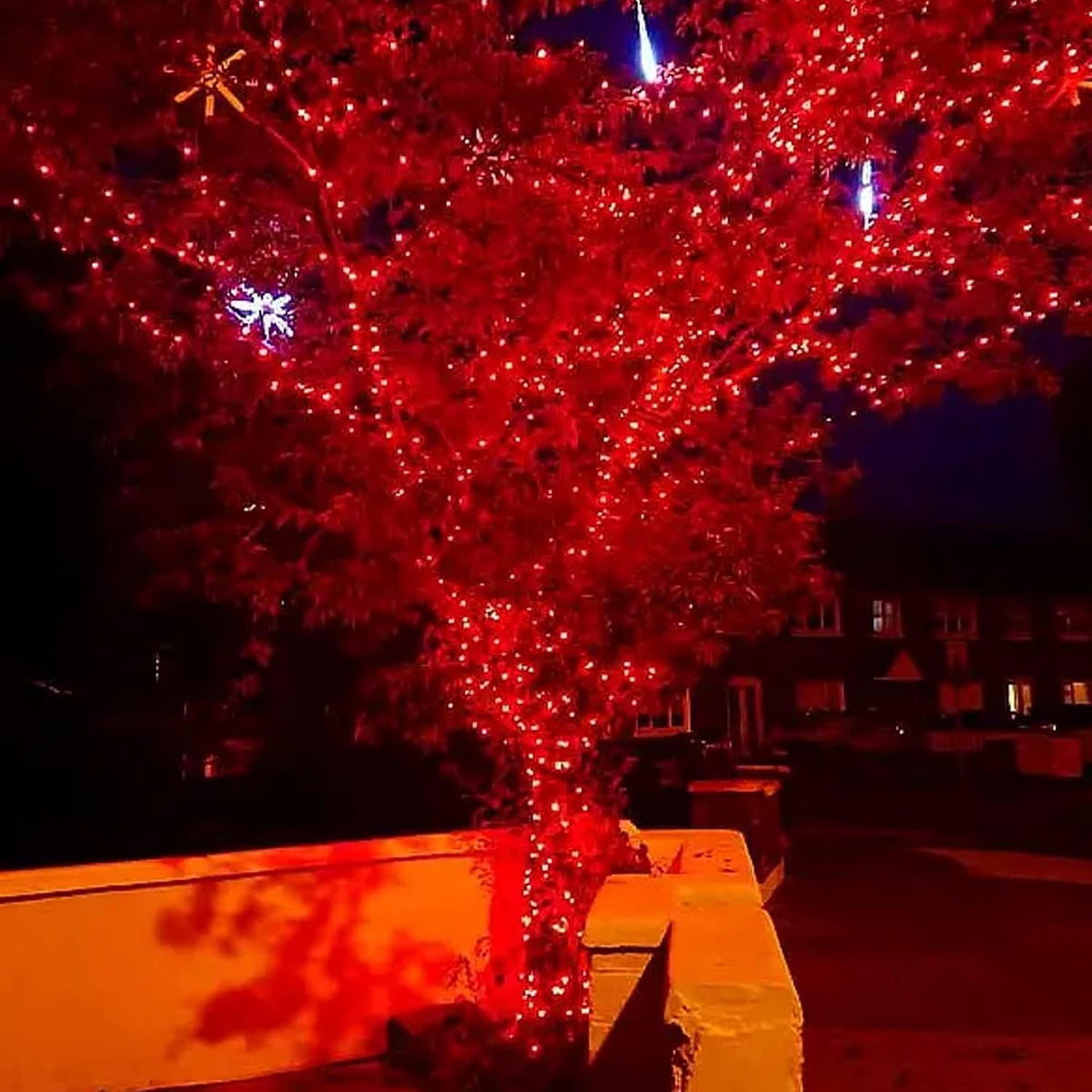 Dazzle Bright - Guirnalda de 300 luces LED para Navidad de 100 pies...
