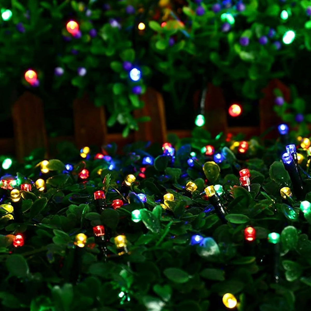 Dazzle Bright - Guirnalda de luces navideñas, multicolor, 164 pies,...