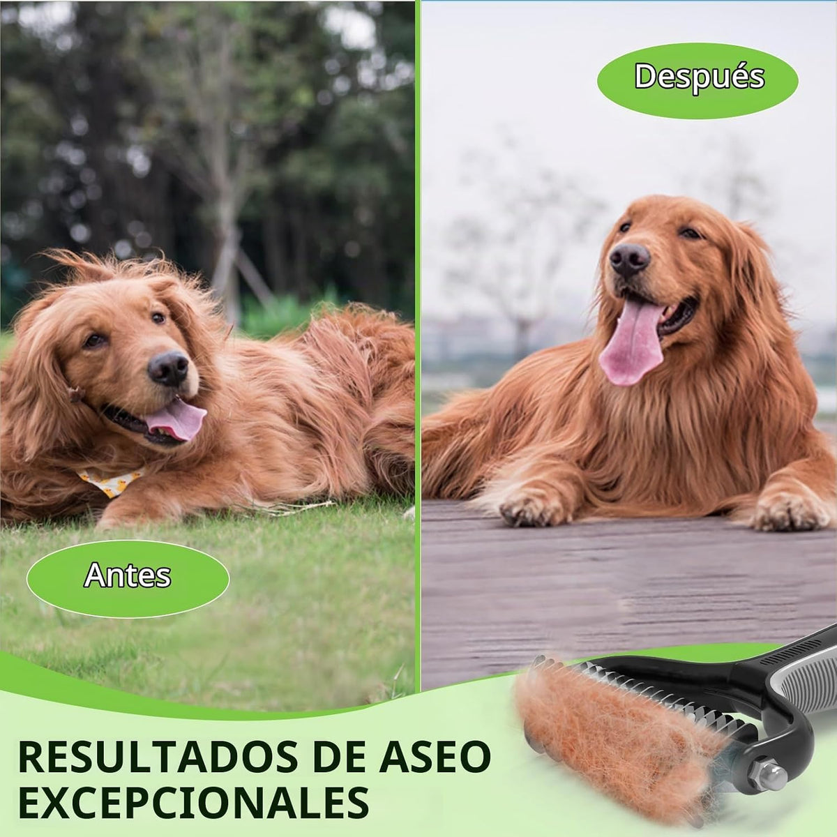Staltwo Suministros de aseo para mascotas \u2013 Rastrillo profesio...