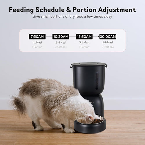 Alimentador automático para gatos y dispensador de agua FW1, dispen...