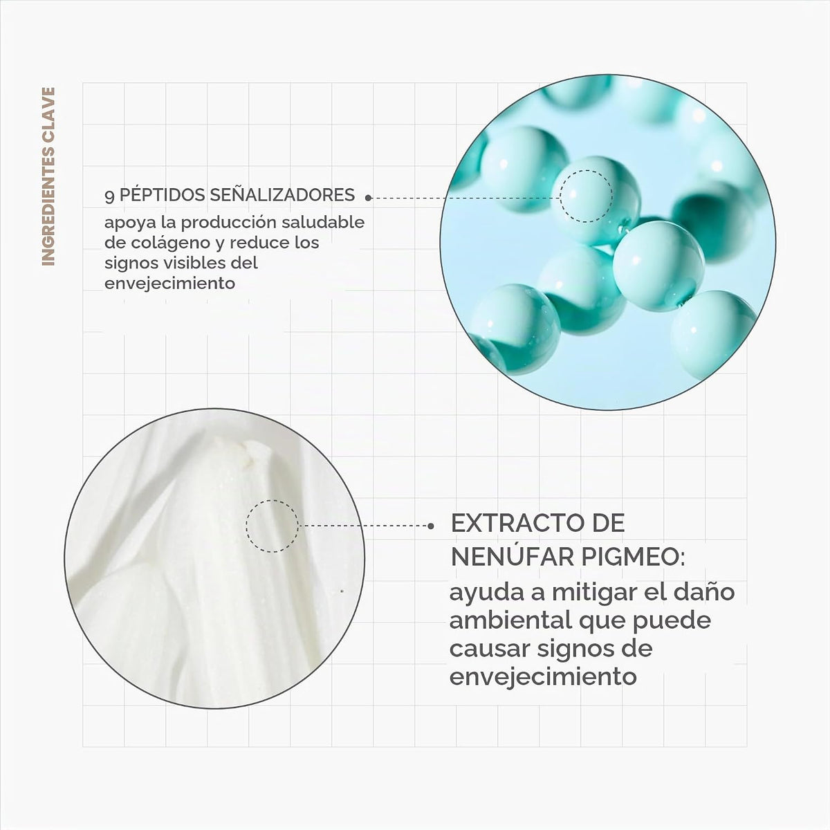 Drunk Elephant Protini Polypeptide Cream - Crema hidratante reafirm...