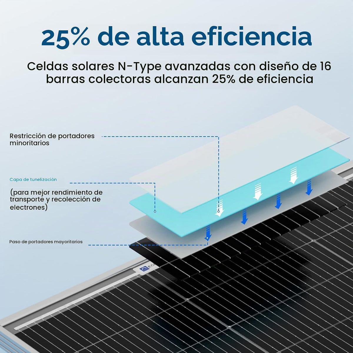 ECO-WORTHY - 2 paneles solares de 100 W, panel solar monocristalino...