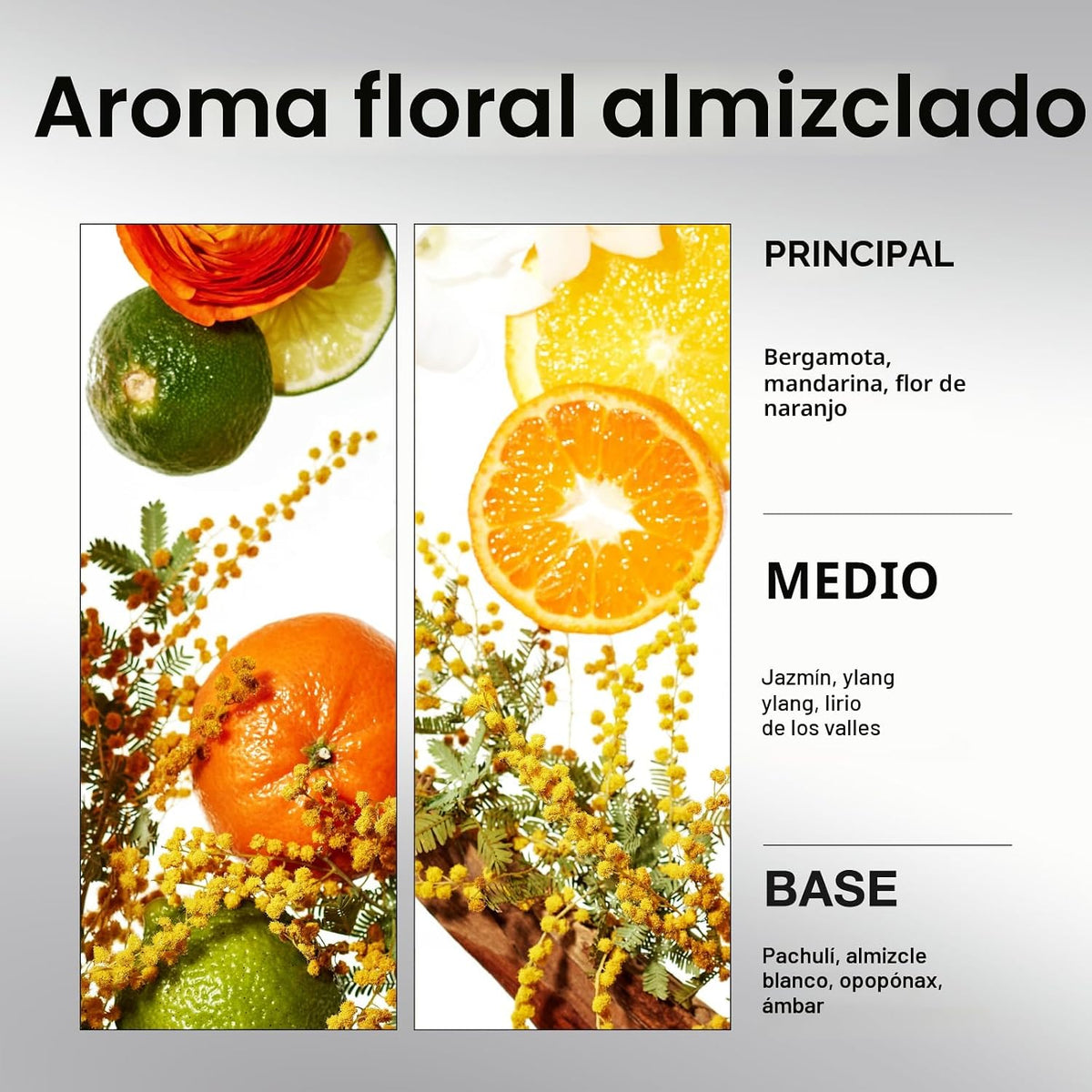 Mise En Scene Perfect Serum Champú súper rico | Champú coreano para...