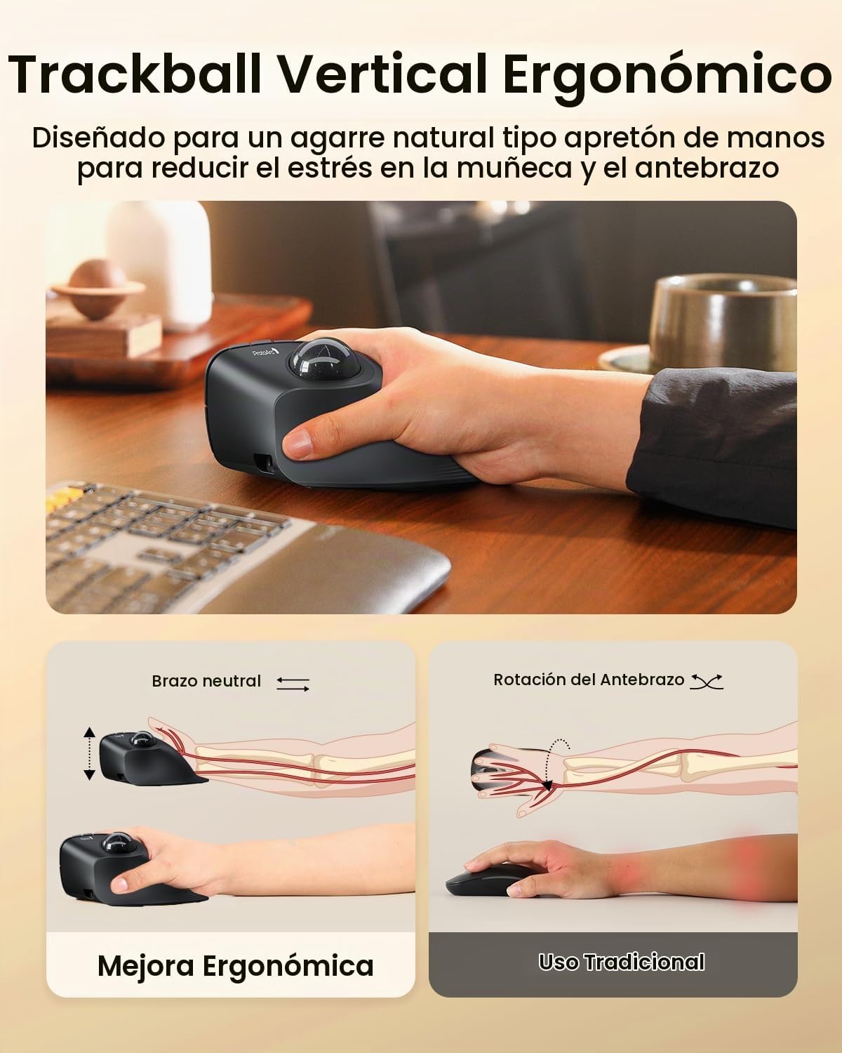 ProtoArc Ratón inalámbrico del Trackball de EM05 NL, ratón vertical...