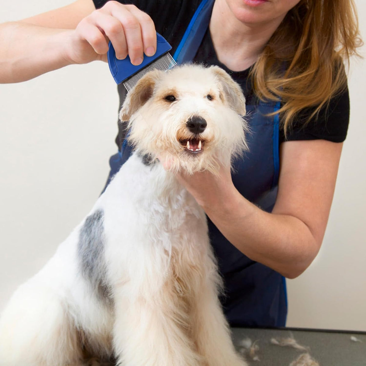 Prime Pets - Peine de pulgas para perros y gatos, peine de acero in...