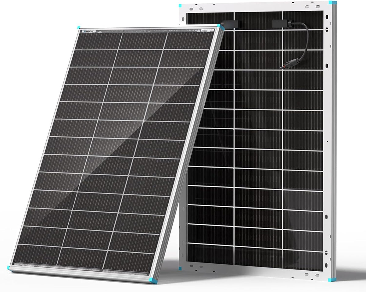 Renogy Panel solar bifacial 100W tipo N, 16BB 25% de alta eficienci...