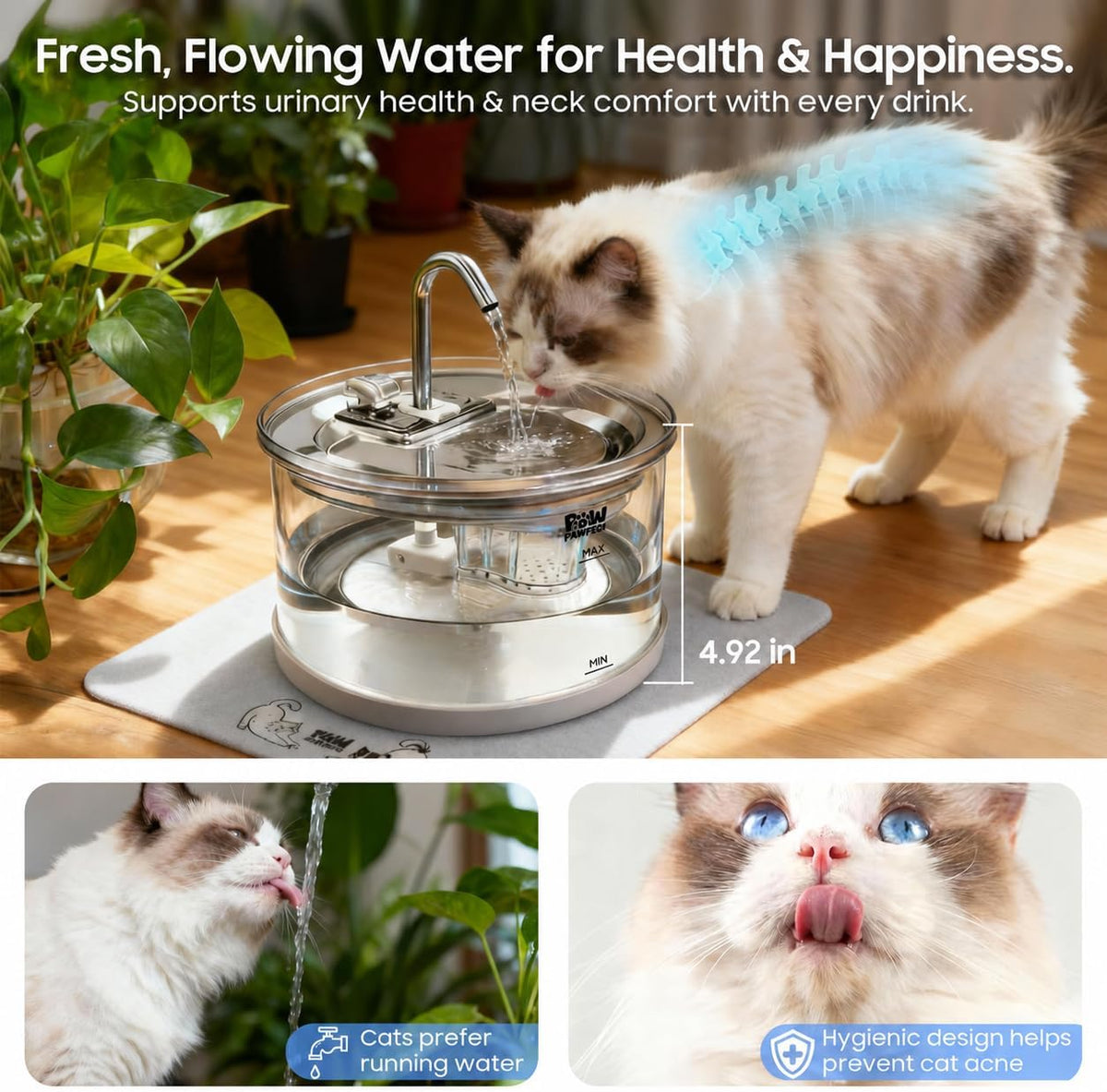 PAWPAWSEN Fuente de agua de cristal para gatos, 70 onzas, apta para...