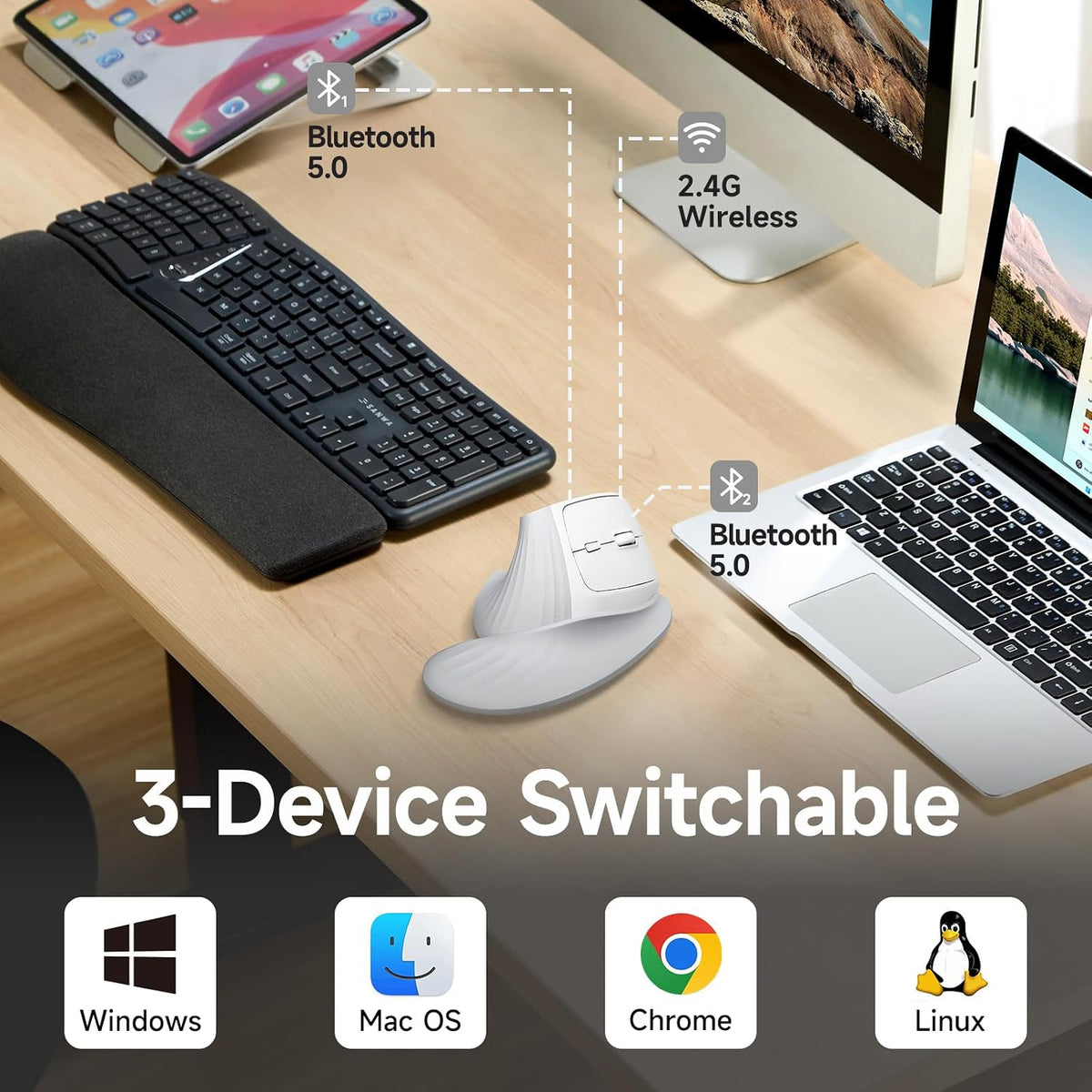 SANWA Ratón ergonómico inalámbrico para manos grandes, mouse vertic...