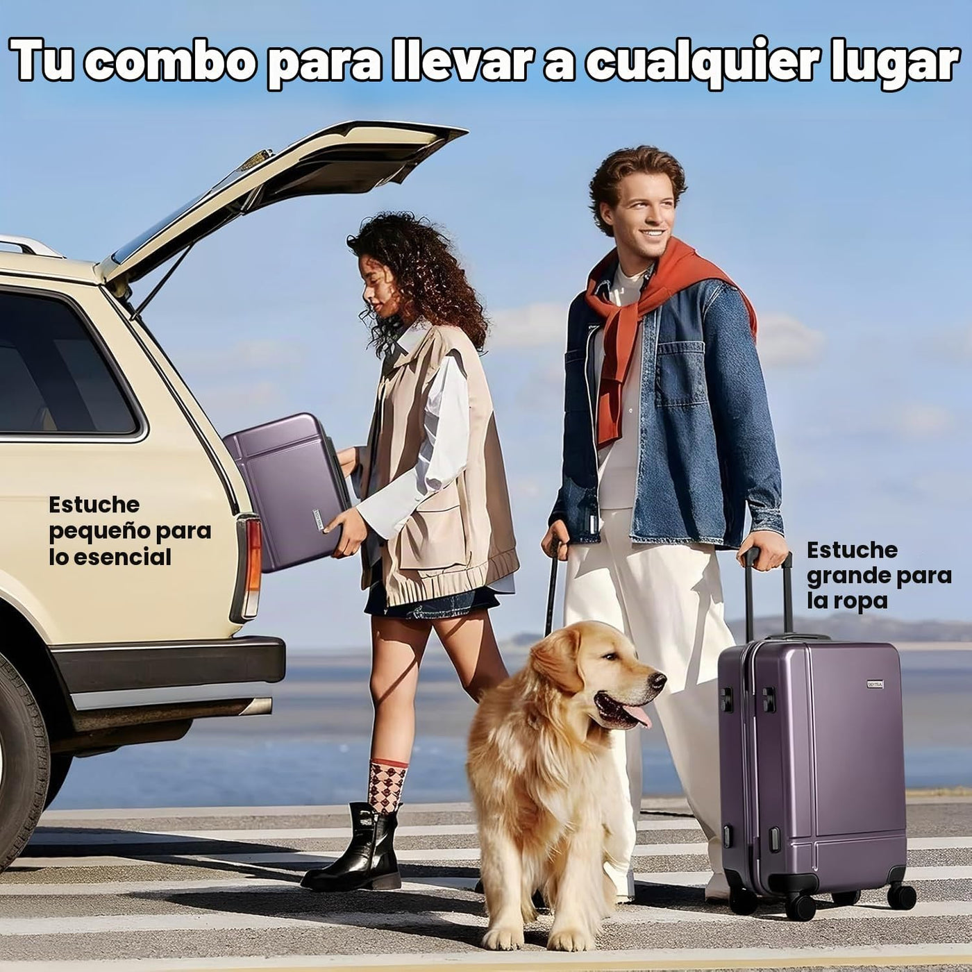 Voytra Juego de 2 equipajes, maleta de mano y comprobada con bloque...
