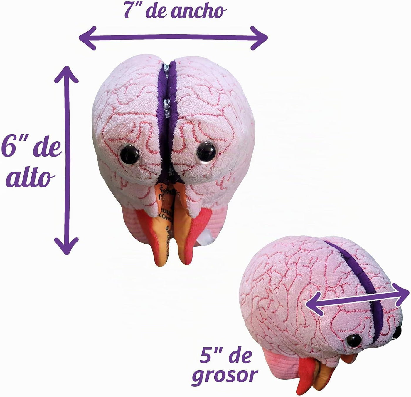 GIANTmicrobes Brain Model Anatomy Plush con detalles bordados | Her...