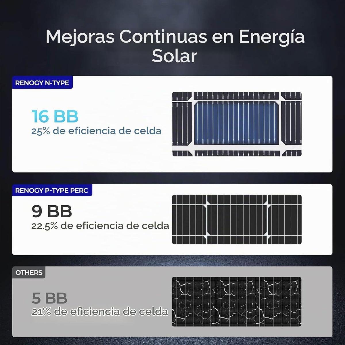 Renogy Panel Solar Bifacial de 250W Tipo N 16BB, Panel Solar de 250...