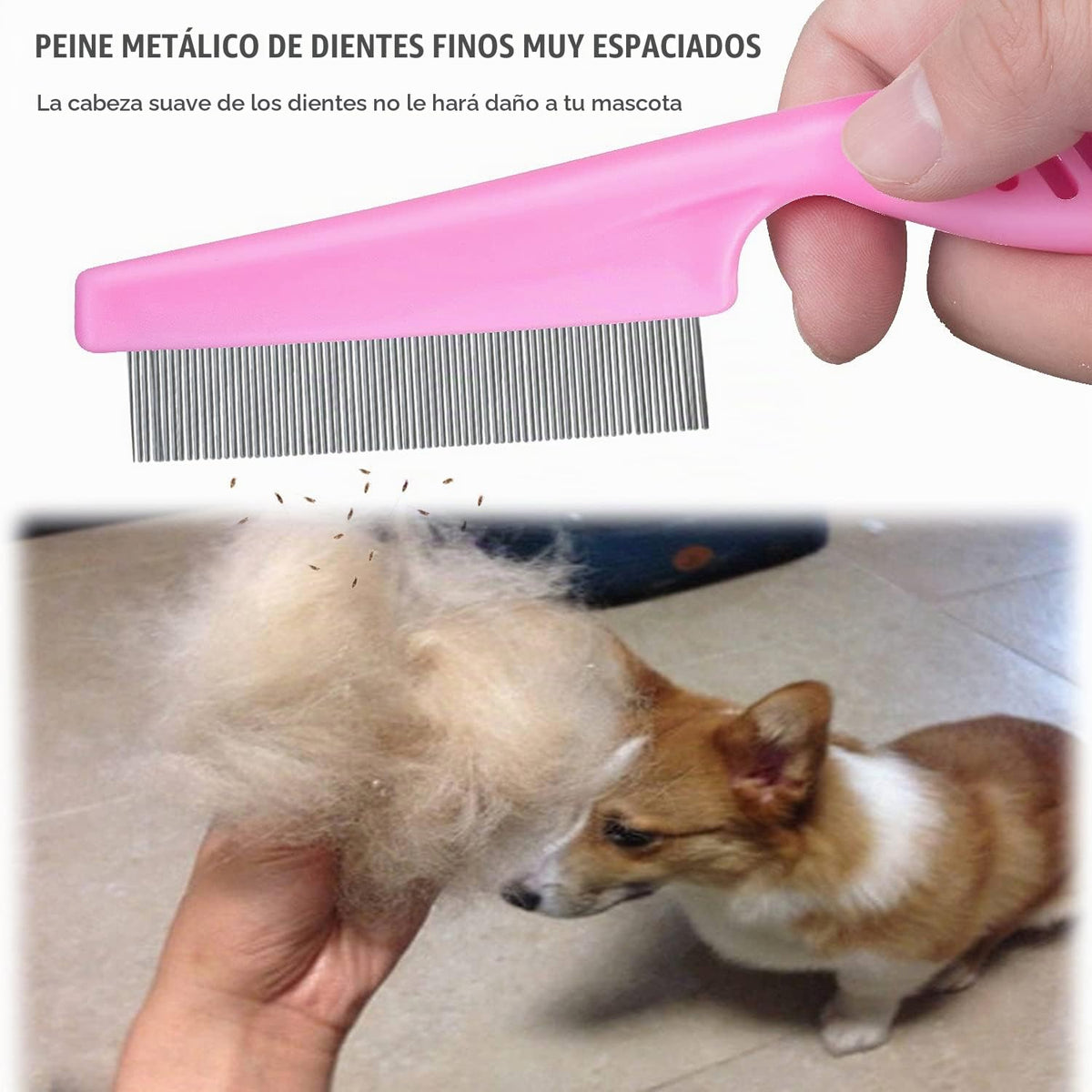 Juego de aseo para gatos y perros, peine de dientes finos para aseo...