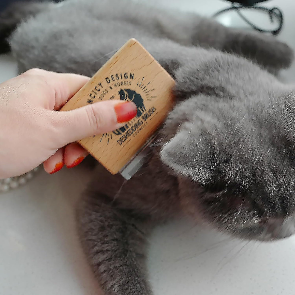 Cooncicy Cepillo de deshedding para gatos y mascotas pequeñas | Pei...