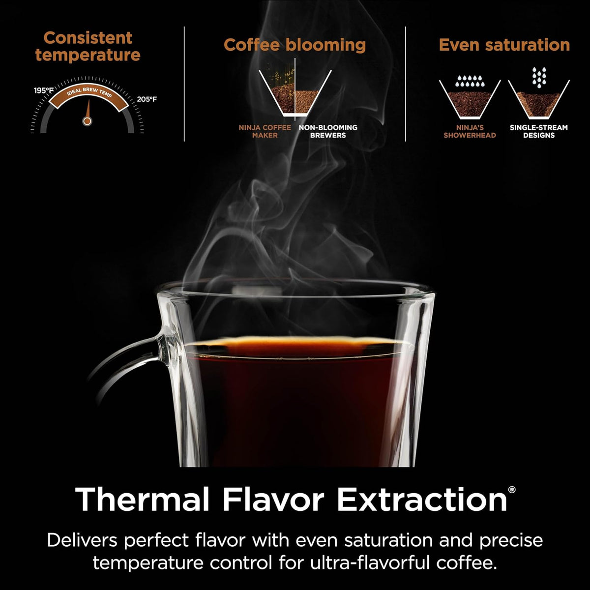 Cafetera Ninja Hot &amp; Iced XL con Rapid Cold Brew, 4 estilos de...