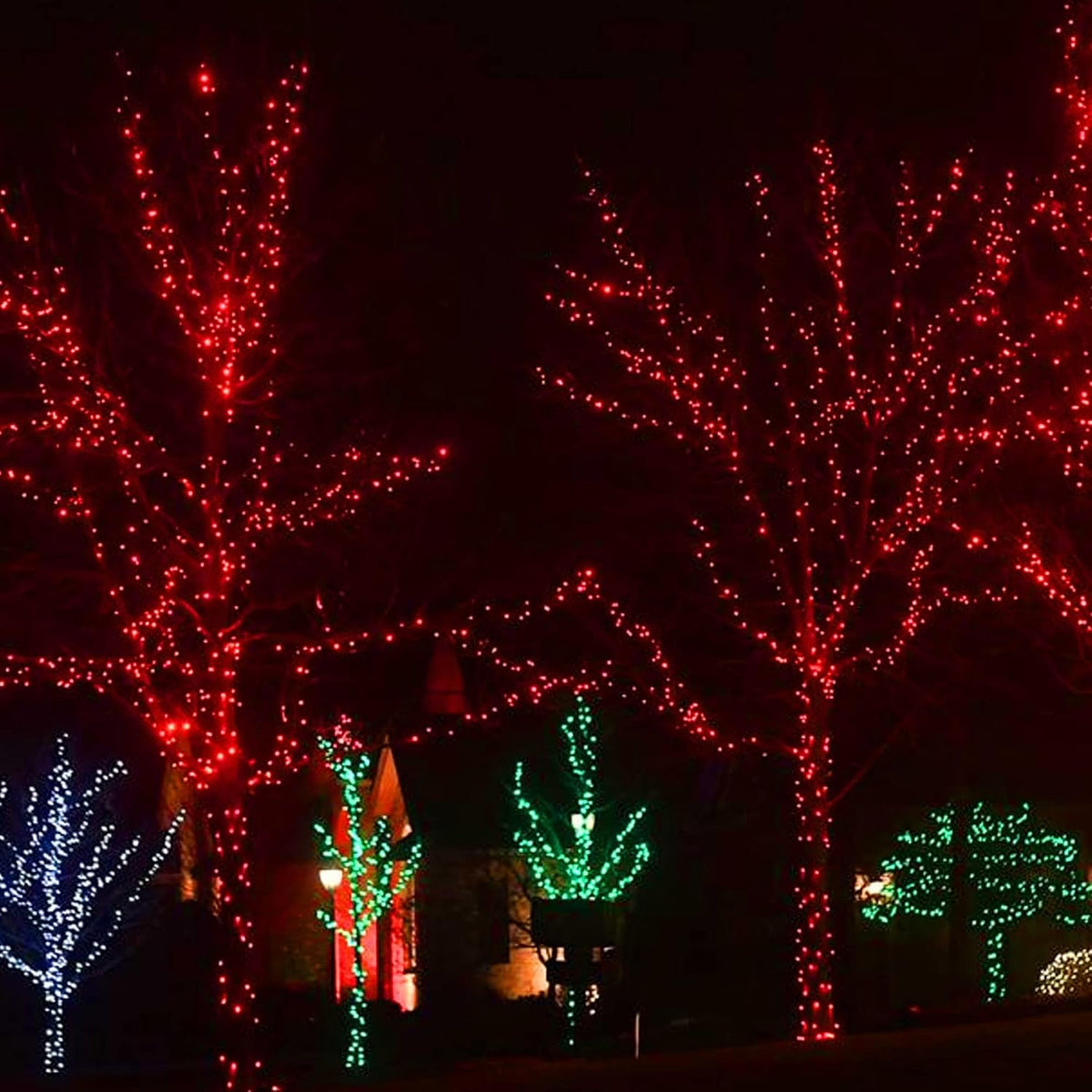 Dazzle Bright - Guirnalda de 300 luces LED para Navidad de 100 pies...