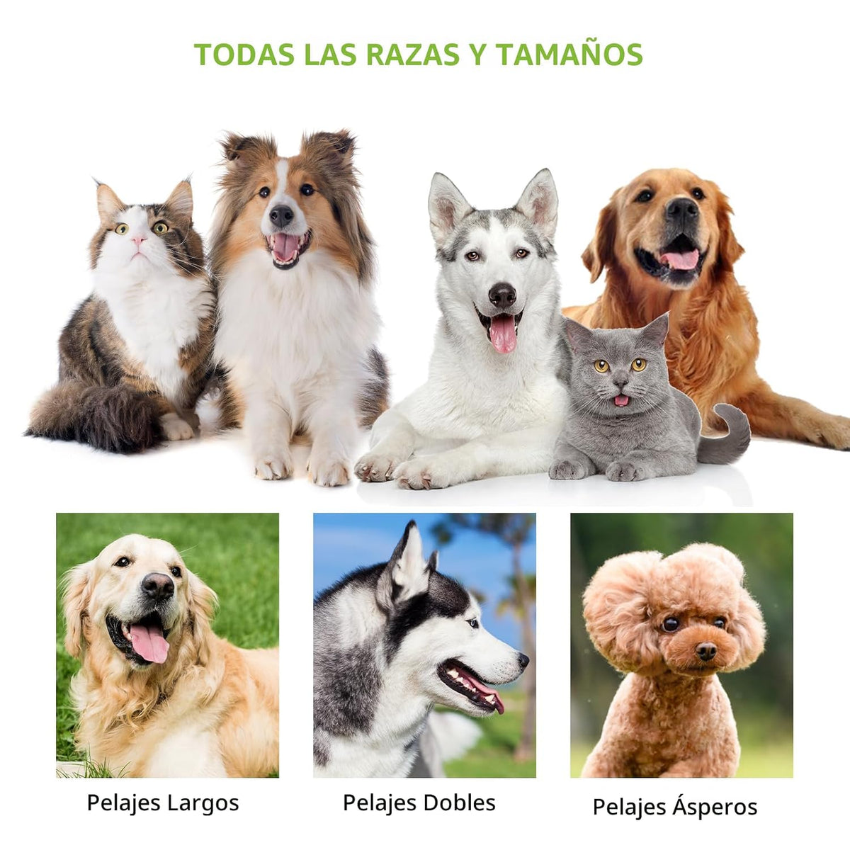 Staltwo Suministros de aseo para mascotas \u2013 Rastrillo profesio...
