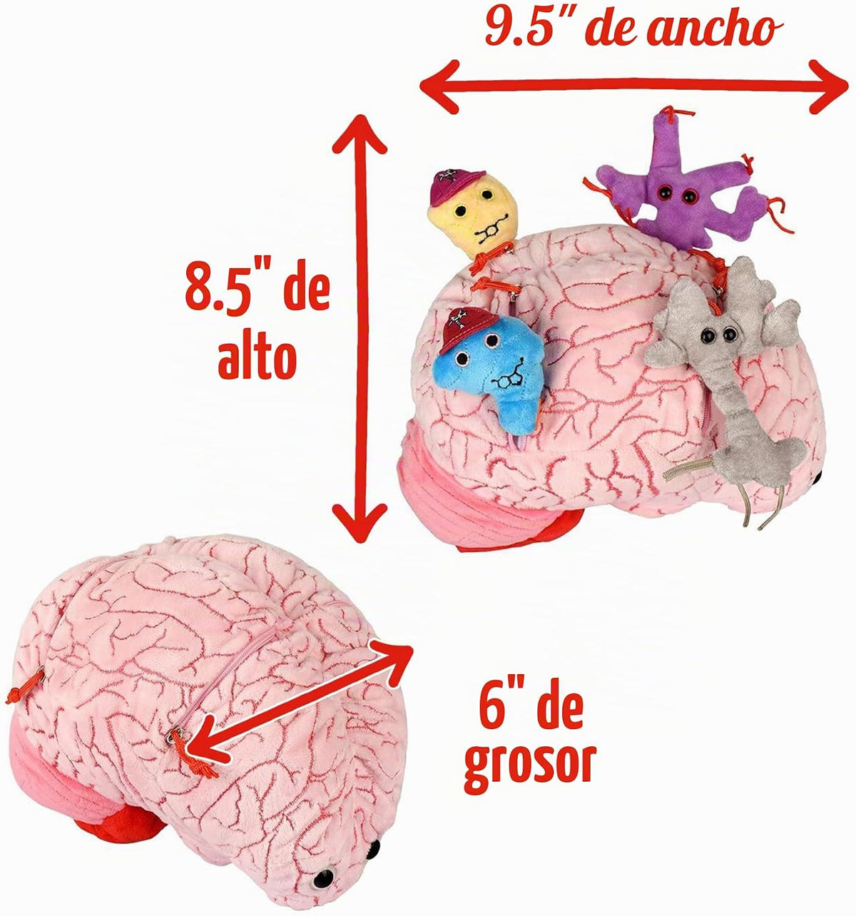 GIANT MICROBES Peluche de cerebro de lujo de 9.5 pulgadas, incluye...