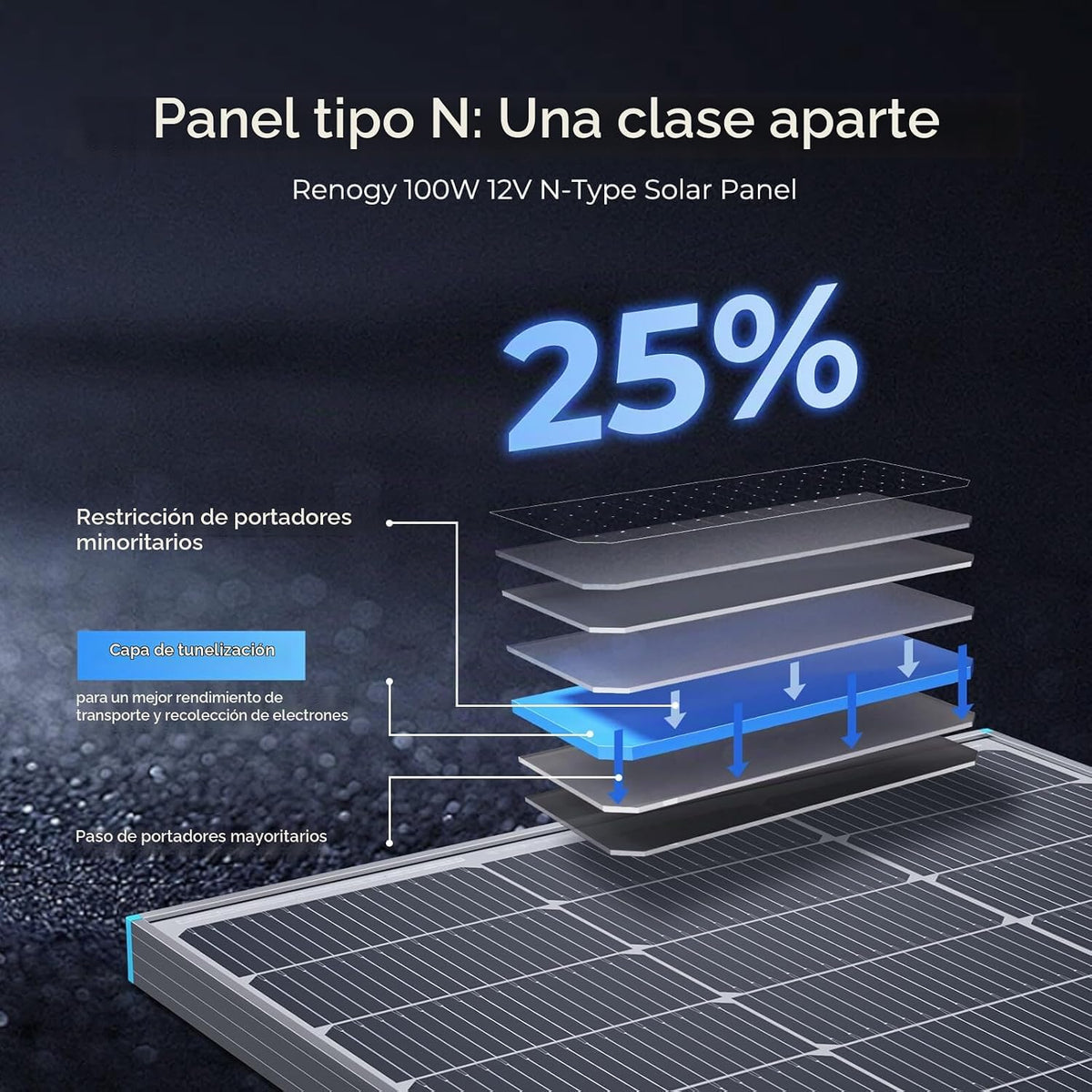 Renogy Panel Solar de 100 Vatios 12 Voltios con Soportes de Montaje...