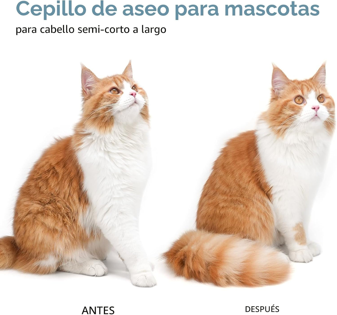 Aumuca Cepillo para Perros - Pelo Suelto