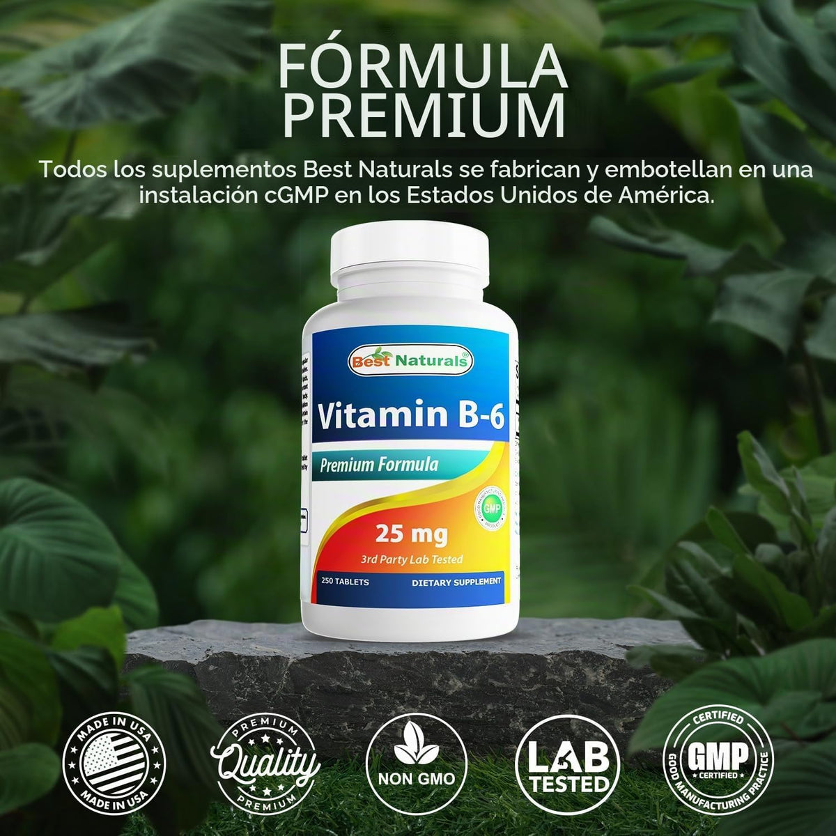 Best Naturals Vitamina B6 25 mg 250 tabletas (250 unidades (paquete...
