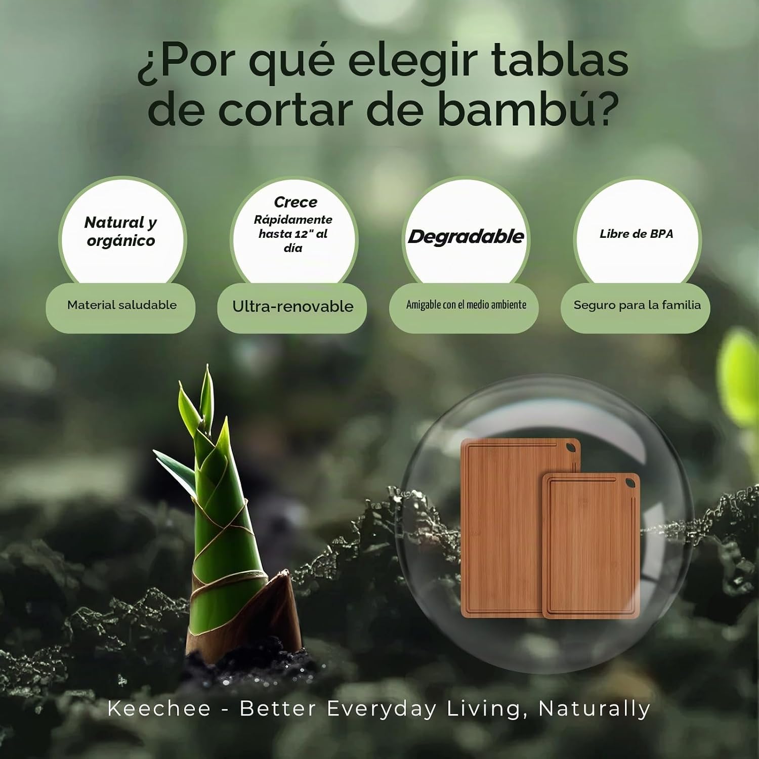Keechee Butcher Block - Juego de 2 tablas de cortar de bambú carbon...