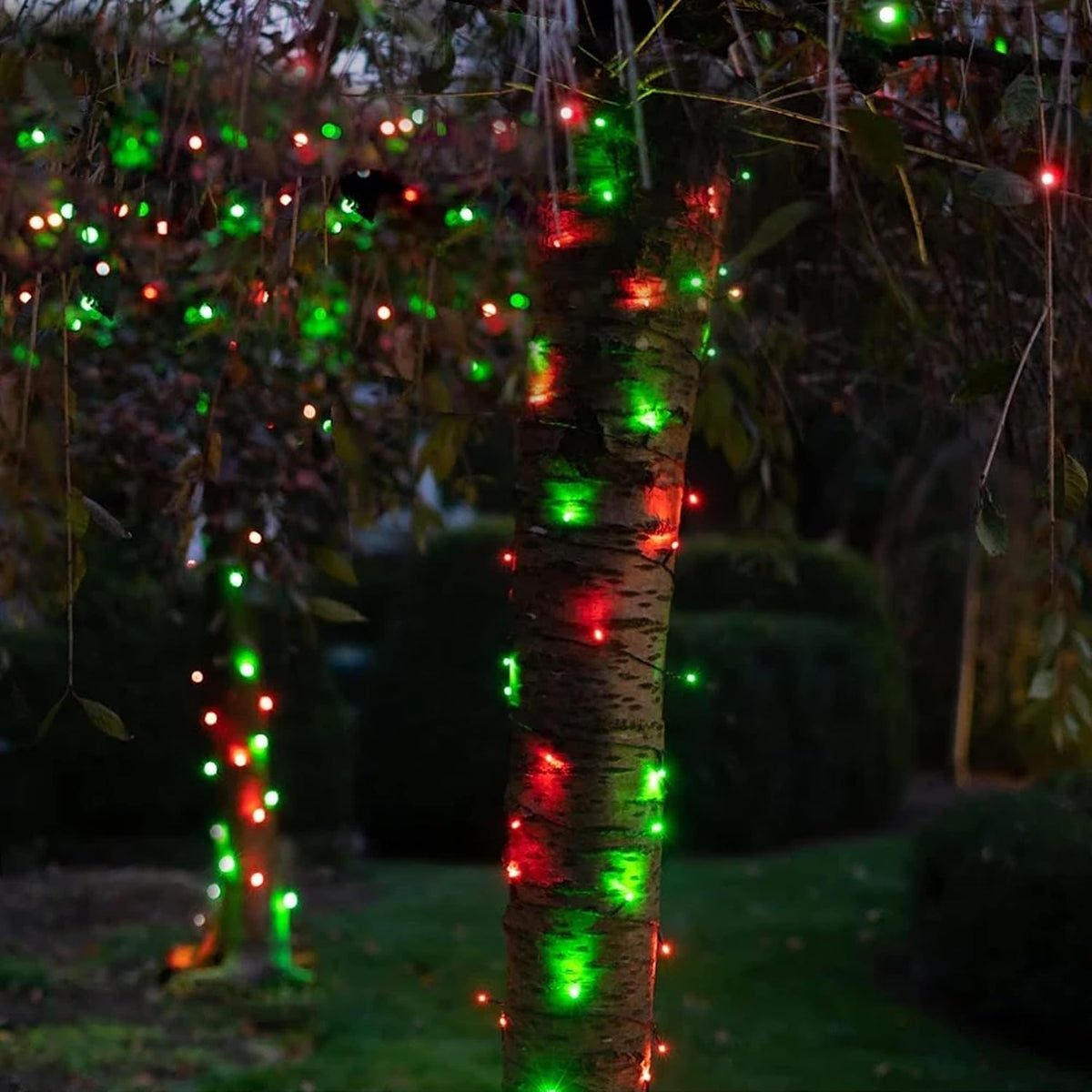 Dazzle Bright - Guirnalda de luces LED para Navidad rojas y verdes...