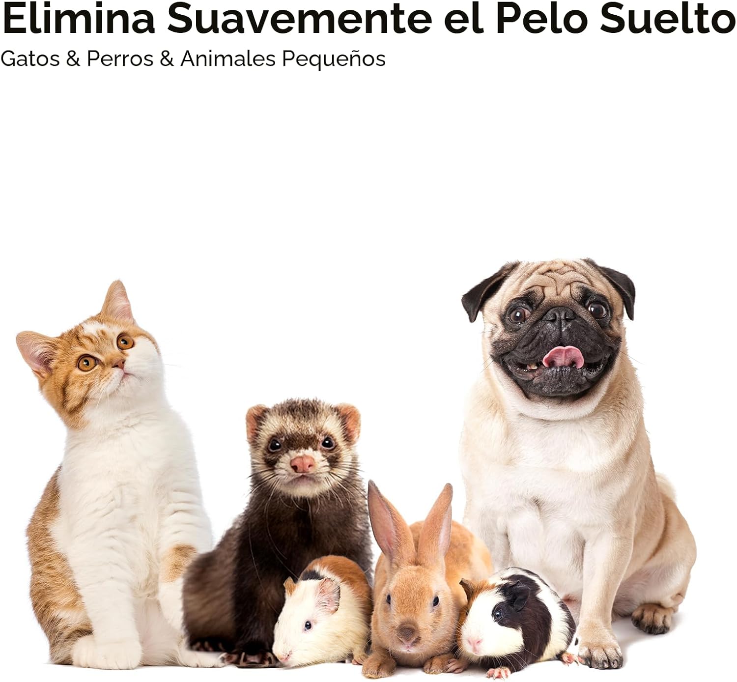 Aumuca - Cepillo para perros, elimina el pelo suelto, cepillo con a...