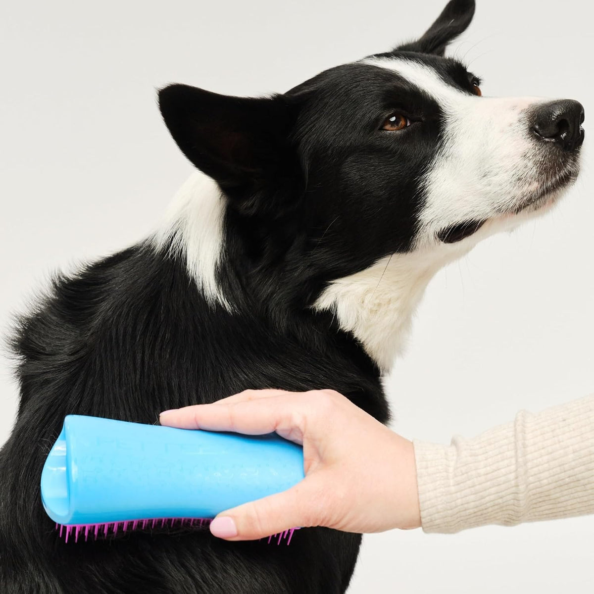 Pet Teezer Cepillo de perro que elimina el desprendimiento para raz...