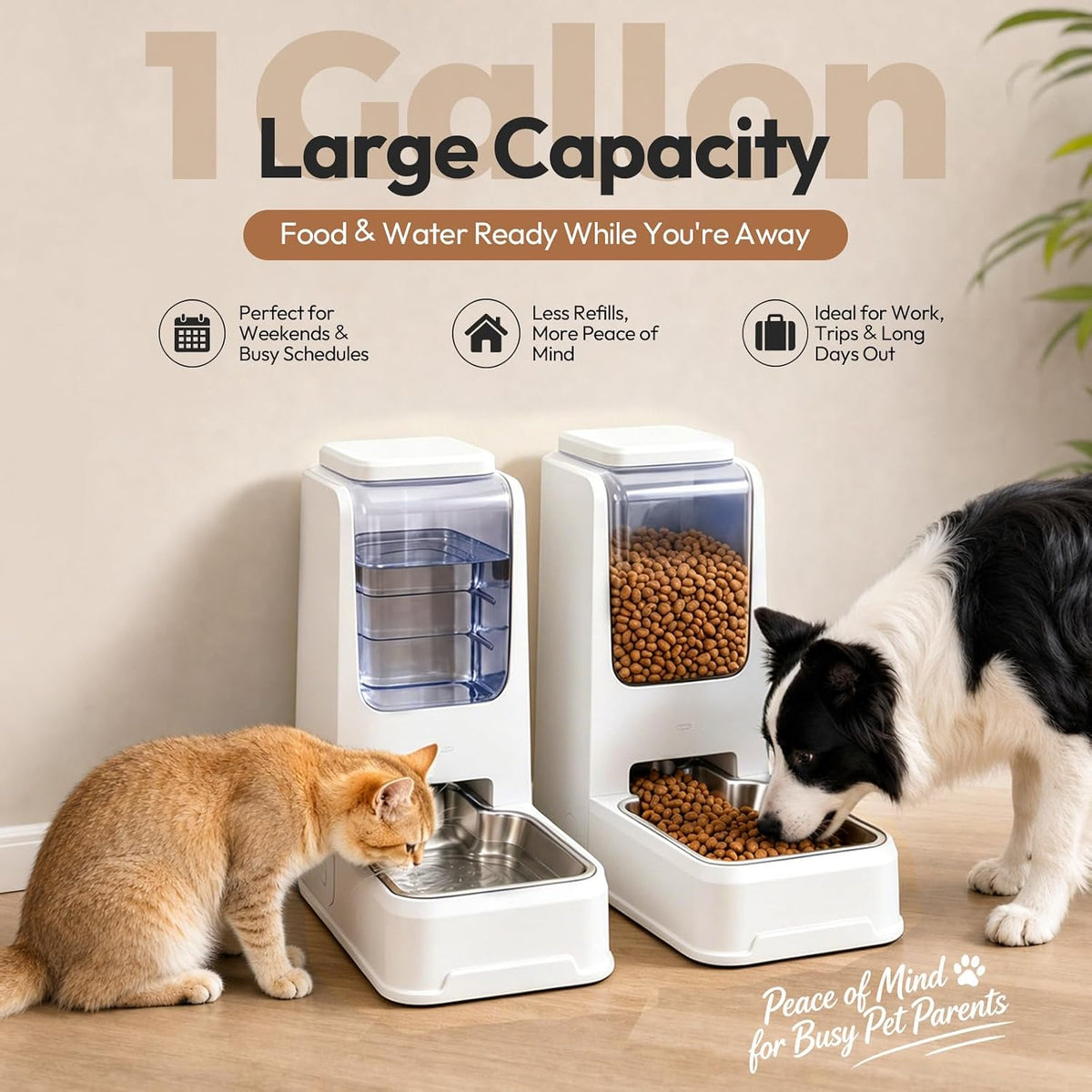 Juego de alimentador automático para gatos y dispensador de agua co...