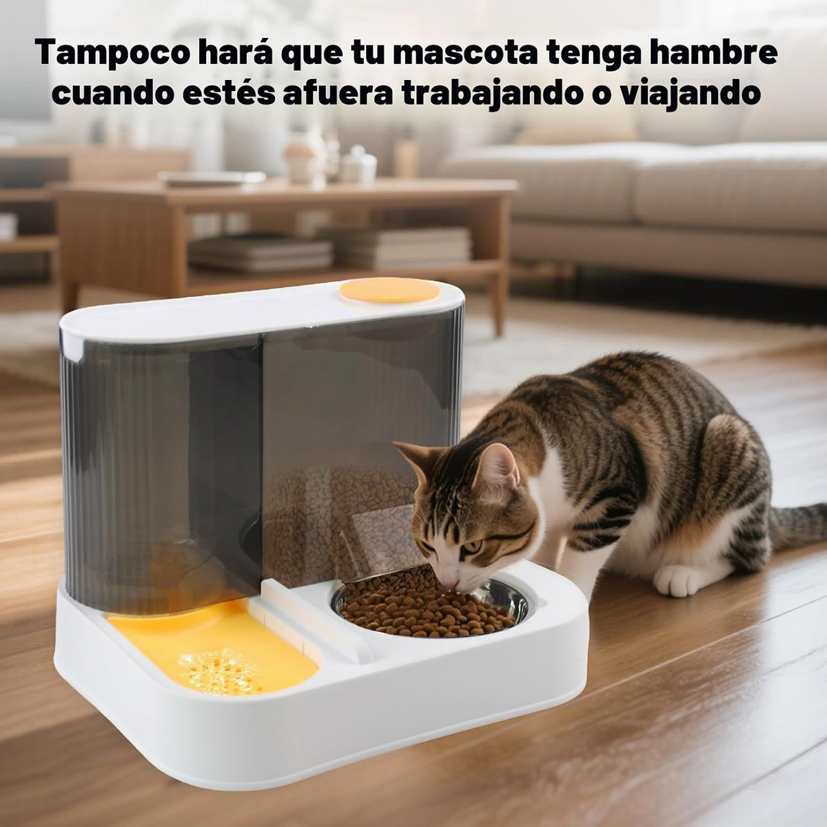 MUYG Combo de alimentador automático 2 en 1 y dispensador de agua p...