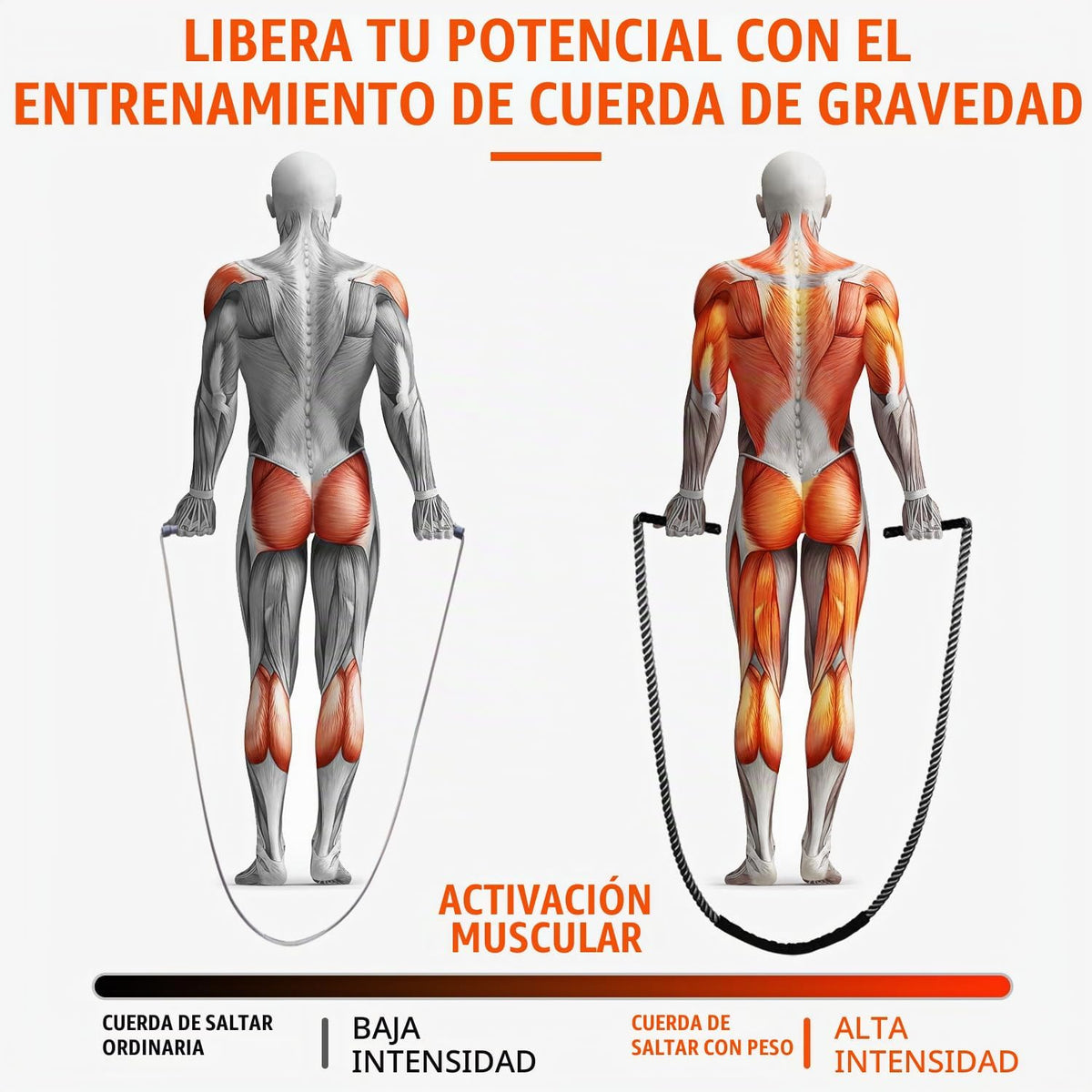 HOXWC Cuerda de Saltar, Cuerda de Saltar con Peso para Fitness, Cue...