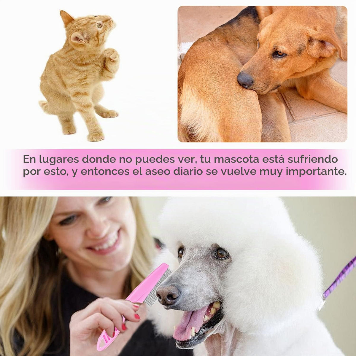 Juego de aseo para gatos y perros, peine de dientes finos para aseo...