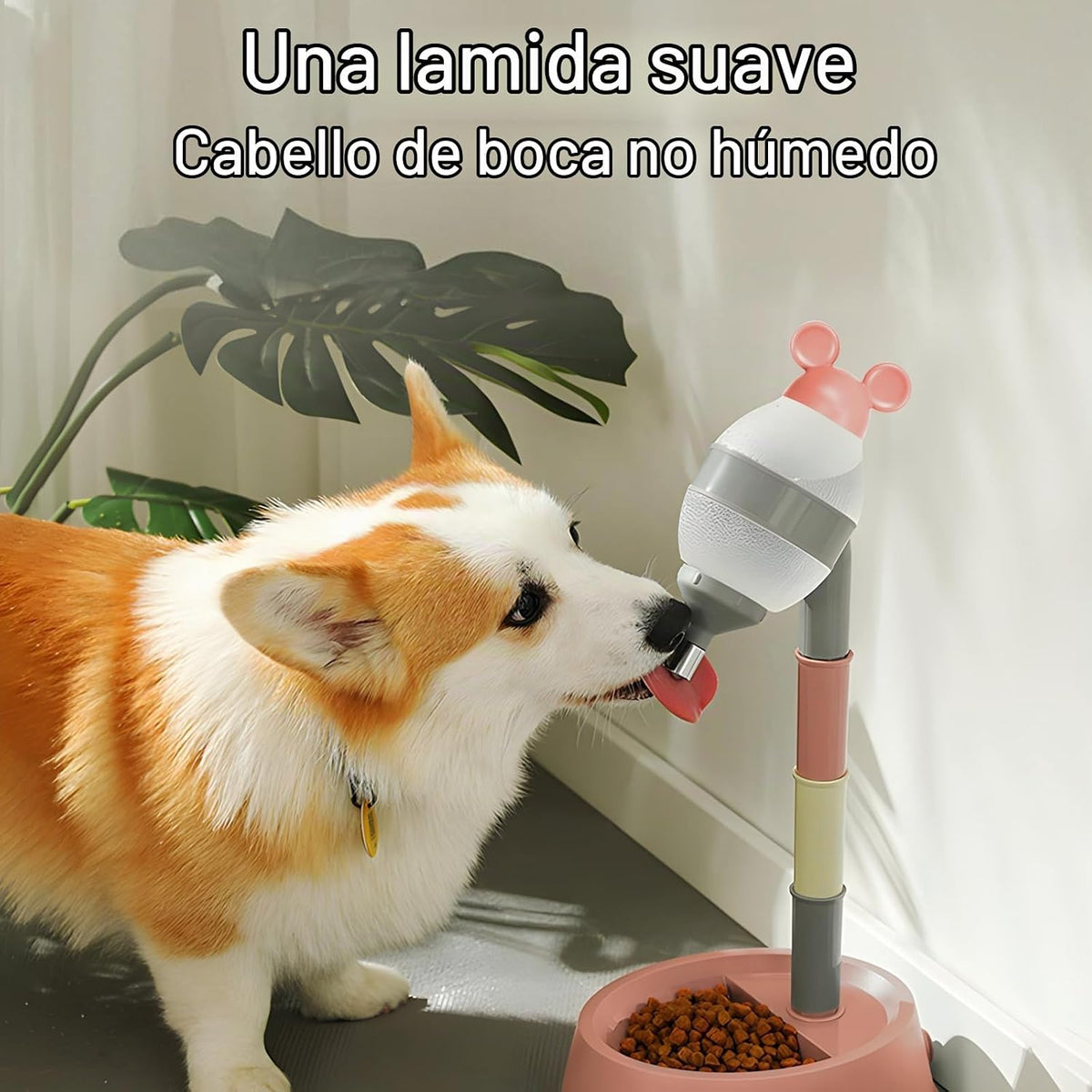 NACOCO - Dispensador de agua para mascotas de pie - Cuenco de pie p...